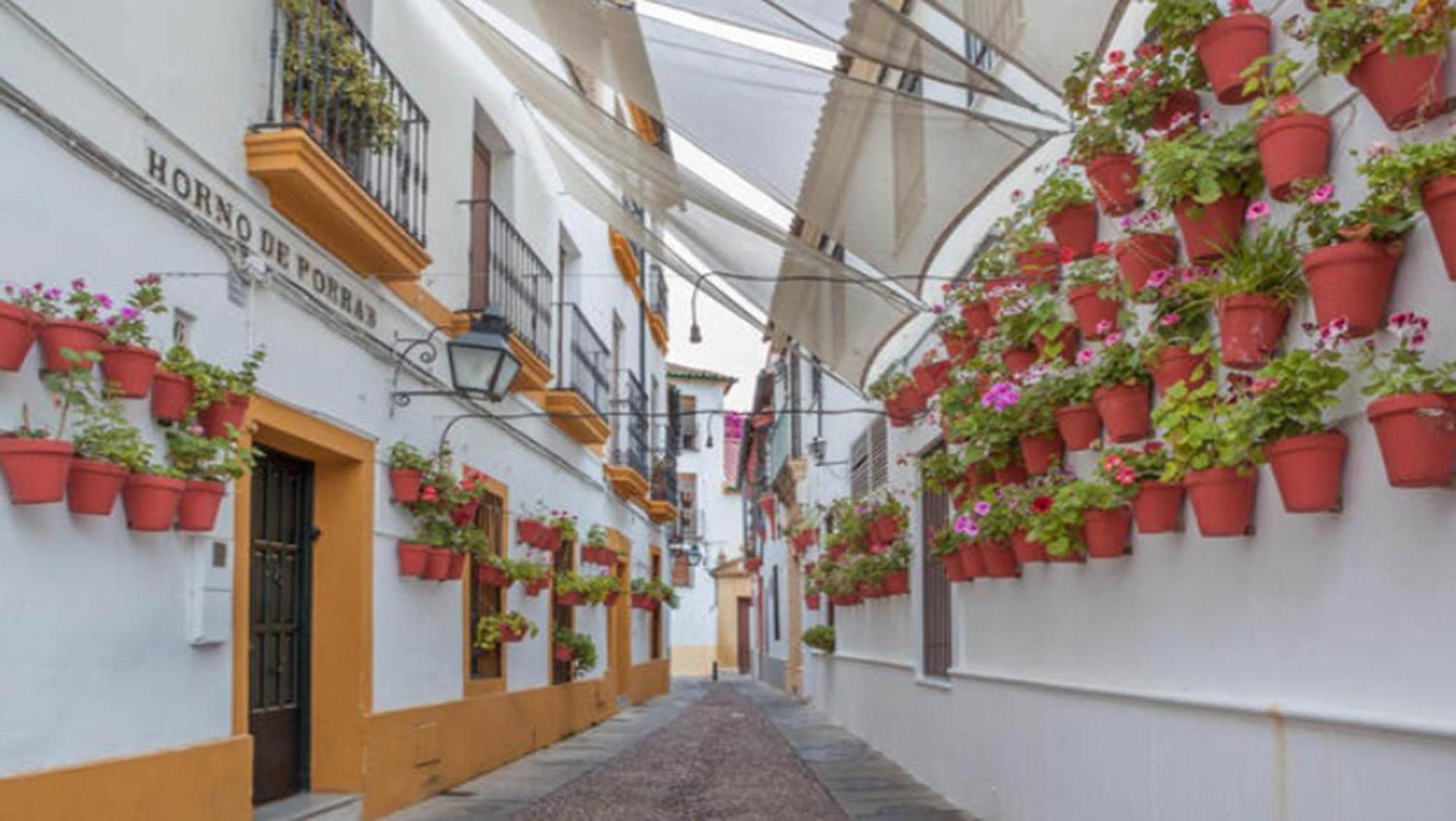 Zahra - Terraza Centro Cordoba Daire Dış mekan fotoğraf
