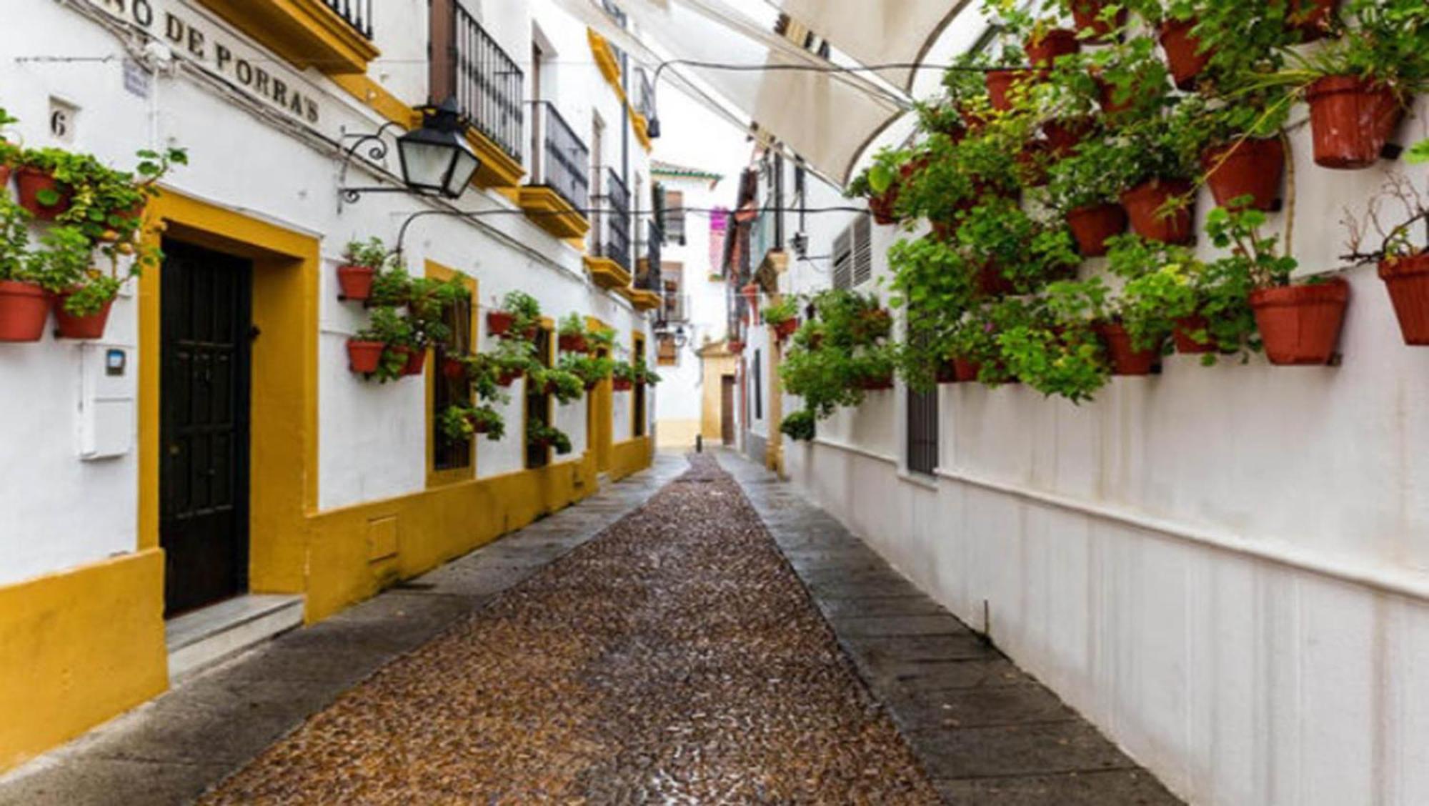 Zahra - Terraza Centro Cordoba Daire Dış mekan fotoğraf